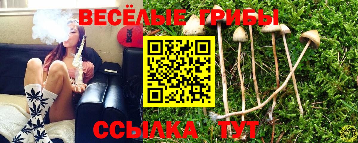 Карачаевск  Галлюциногенные грибы GOLDEN TEACHER  Вход с VPN 